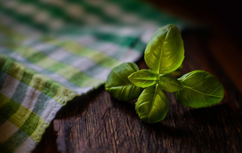 Herb Garden Creations